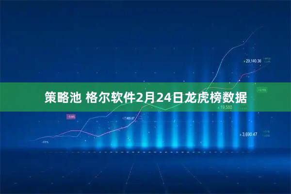 策略池 格尔软件2月24日龙虎榜数据